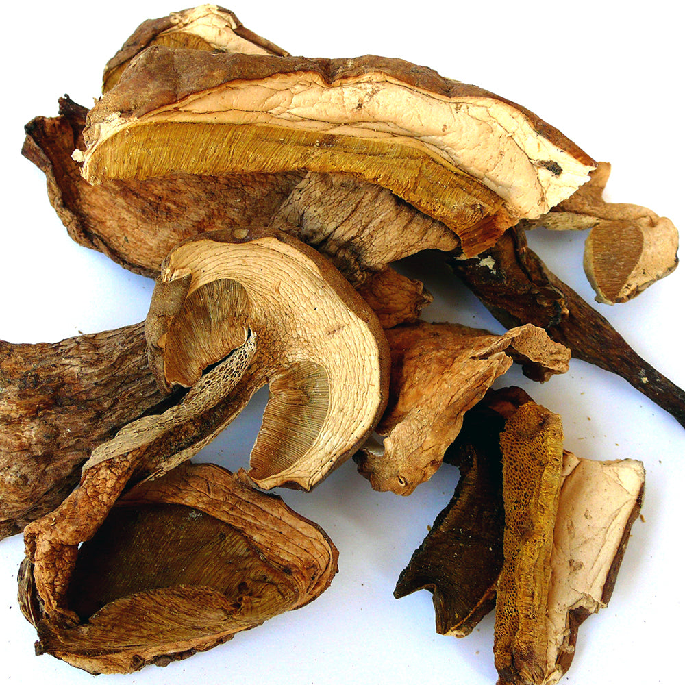 Dried Mushrooms