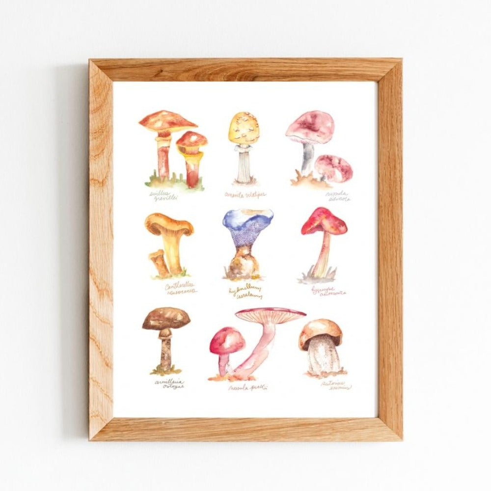 Poster - Les Champignons - Carolie Joly