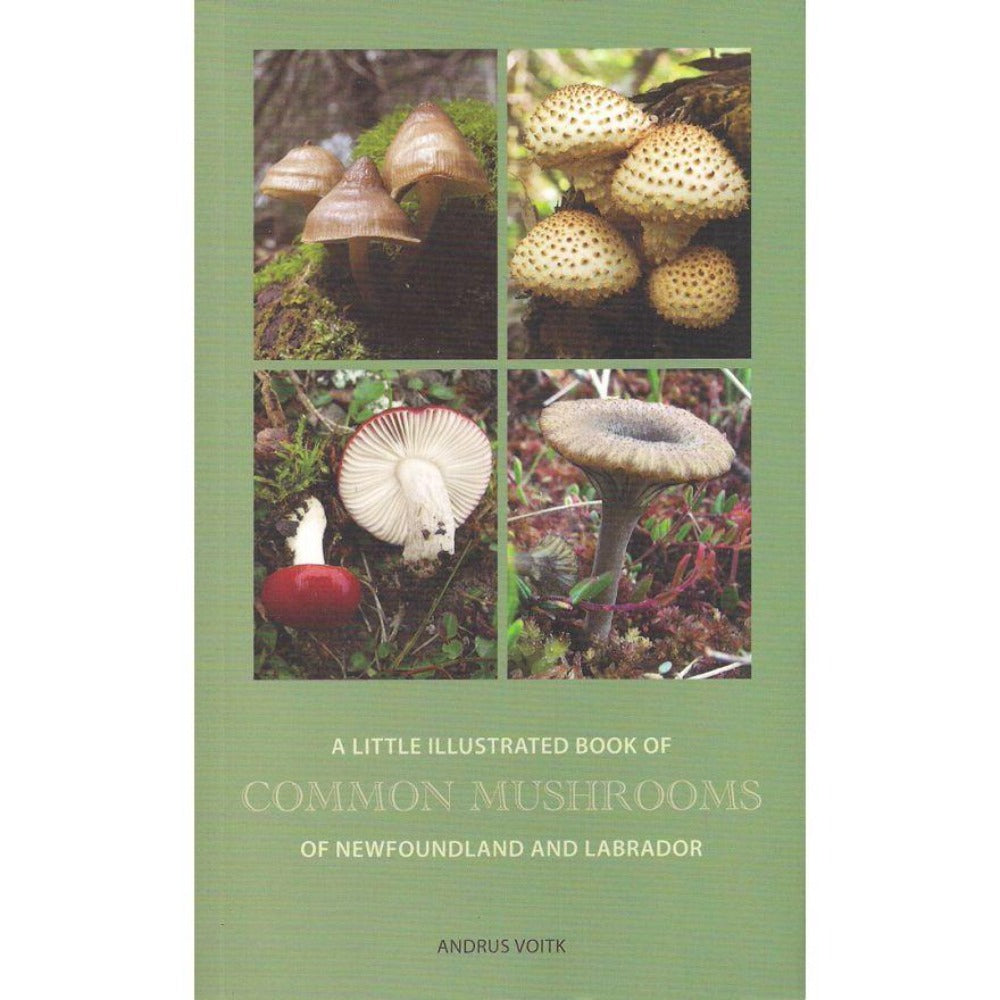 A Little Illustrated Book of Common Mushrooms of Newfoundland and Labrador